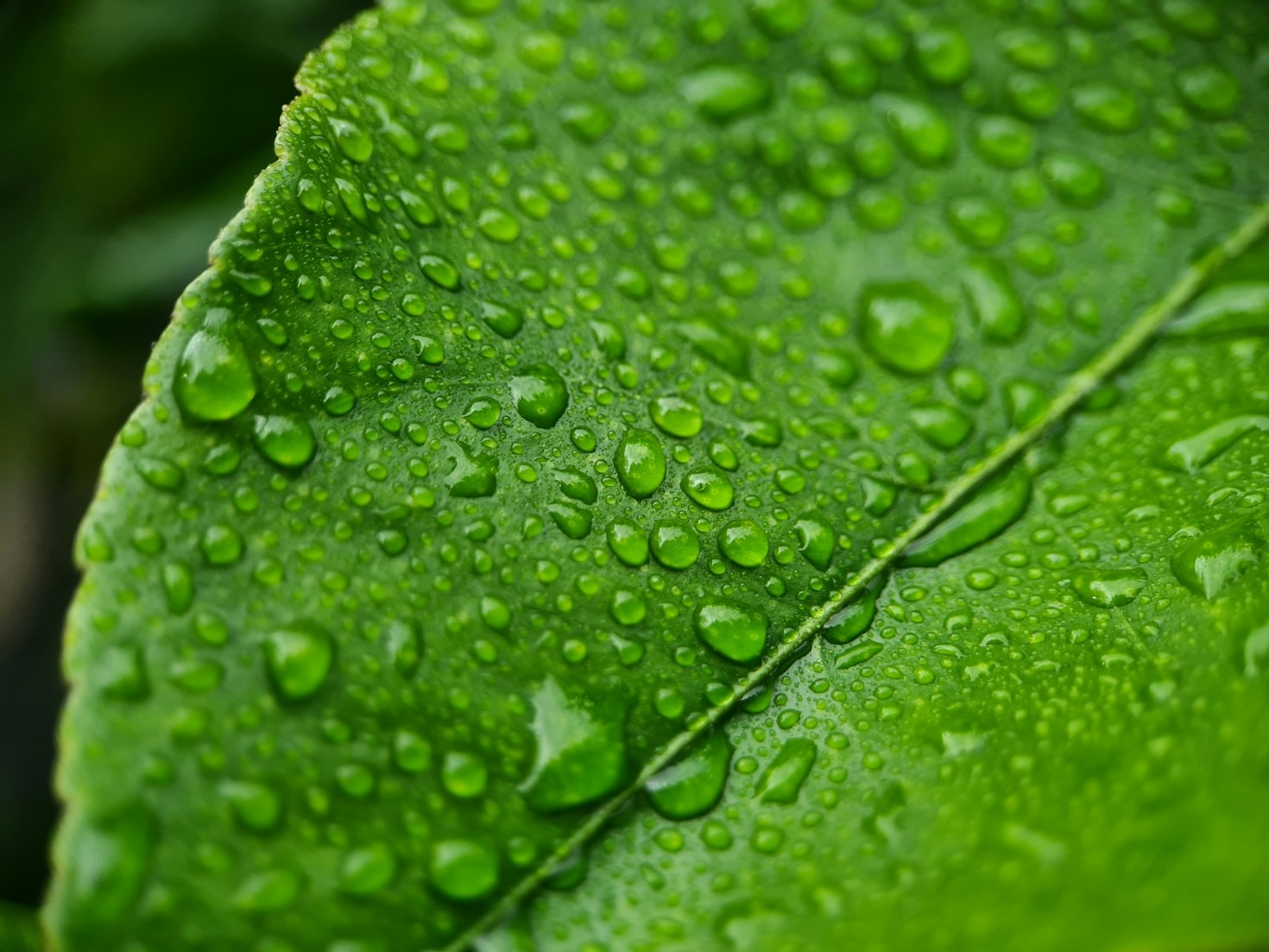 Les énergies renouvelables expliquées simplement